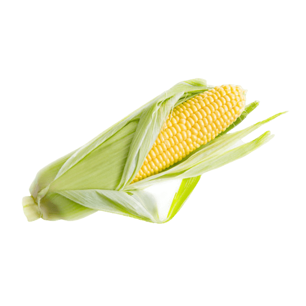 Organic Corn